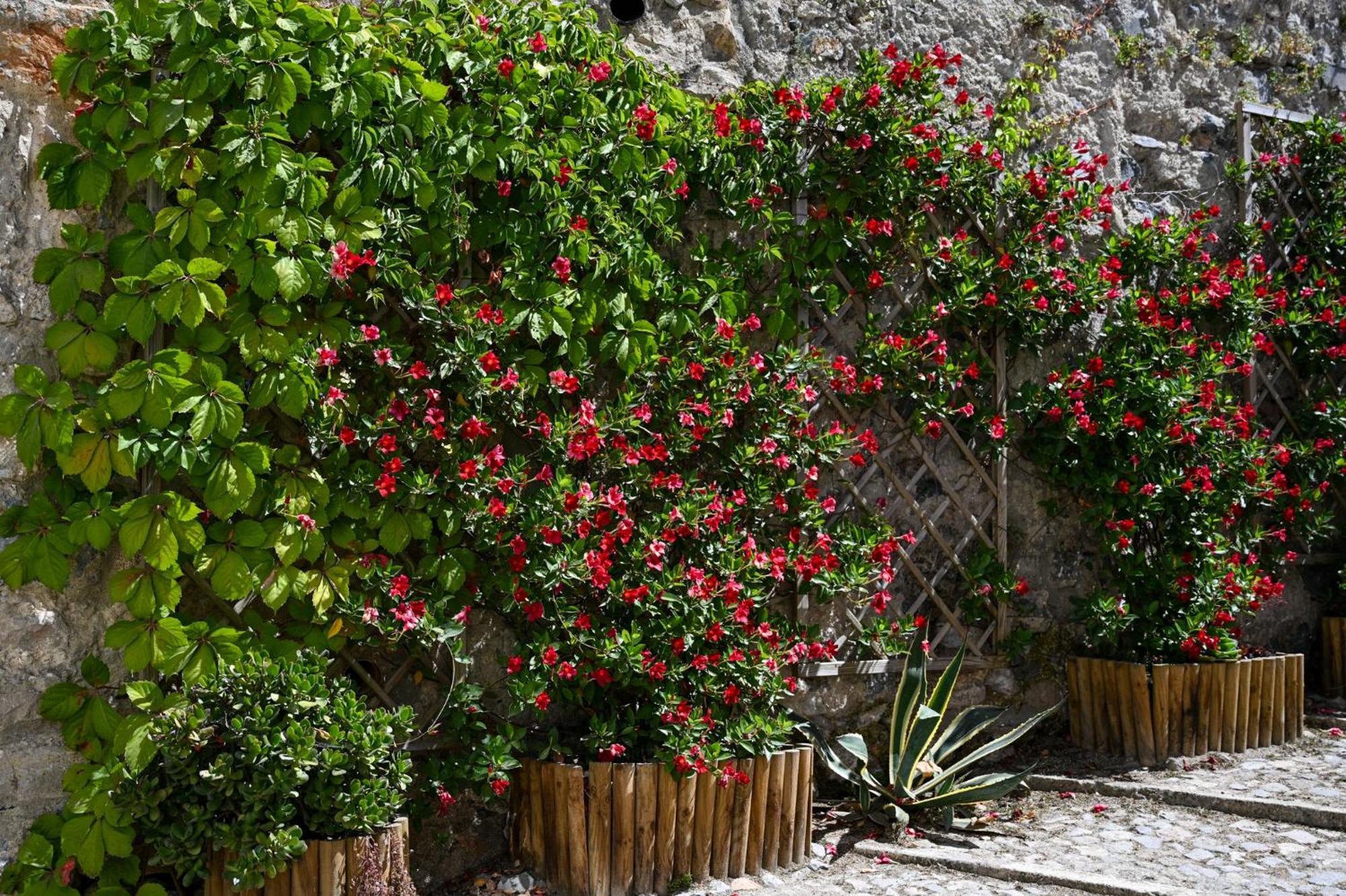 Appartement Casa Do Briamante 9 à Sintra Extérieur photo